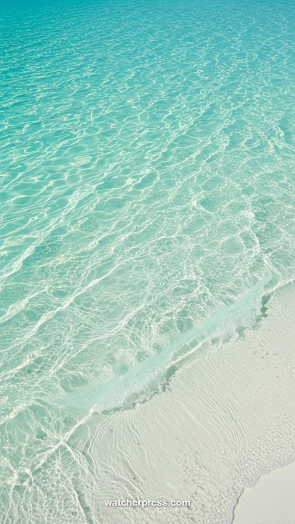 HD Tropical Shoreline: Pristine Aqua Water and White Sand Caustics
