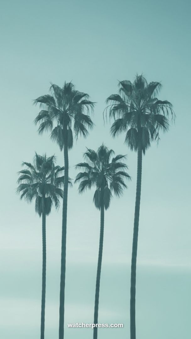 Manifesting Tropical Freedom: The Silhouette of Aspiration