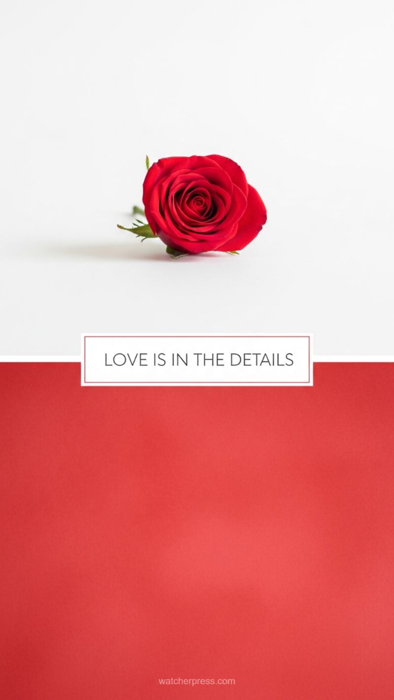 11. Love Is In The Details (Red Rose)