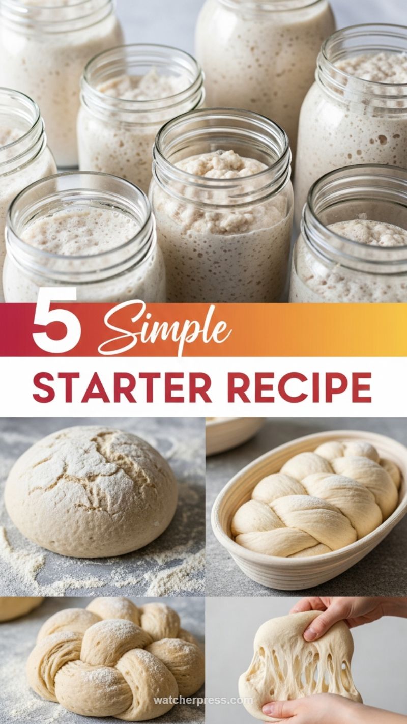 Elevate Lunch with 10 Fluffy Sourdough Bread Recipes