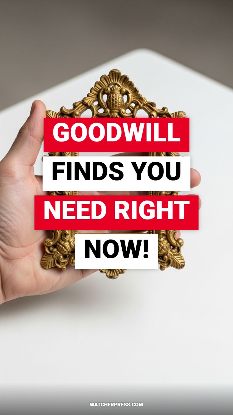 GOODWILL FINDS YOU NEED RIGHT NOW!