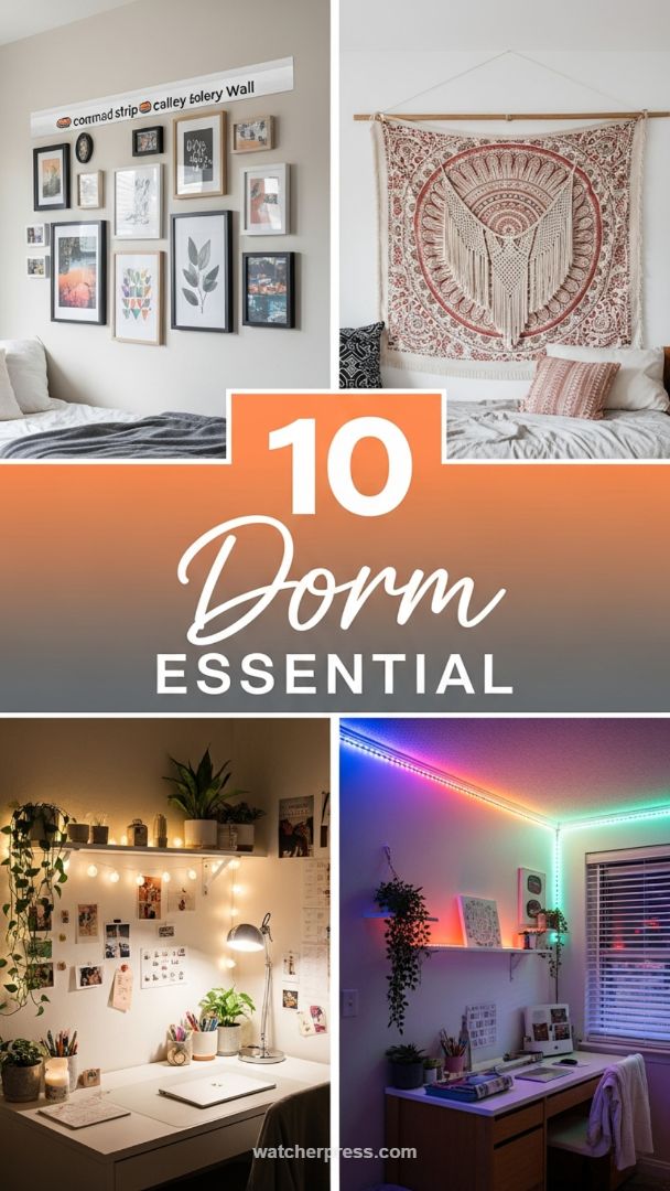 High-Impact, Low-Cost Decor Essentials for Personalized Spaces