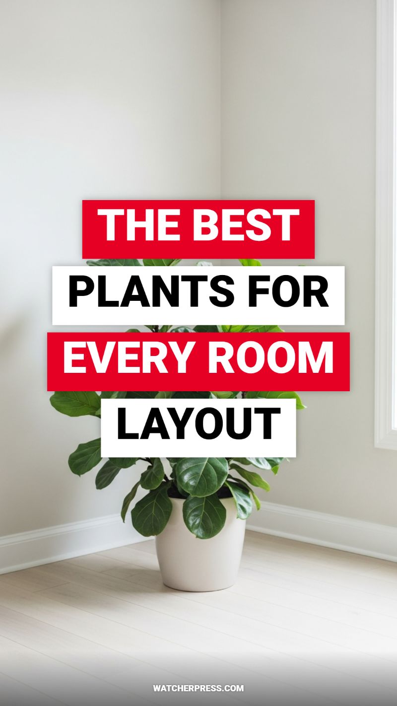 The Best Plants for Every Room Layout