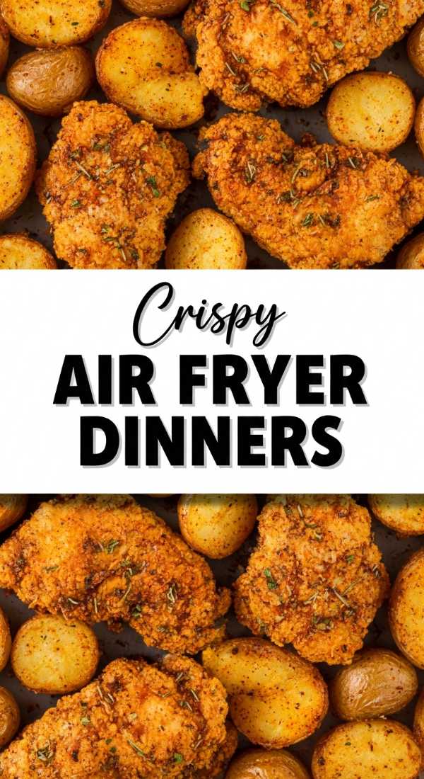 12 Quick Easy Air Fryer Dinner Recipes for Busy Nights